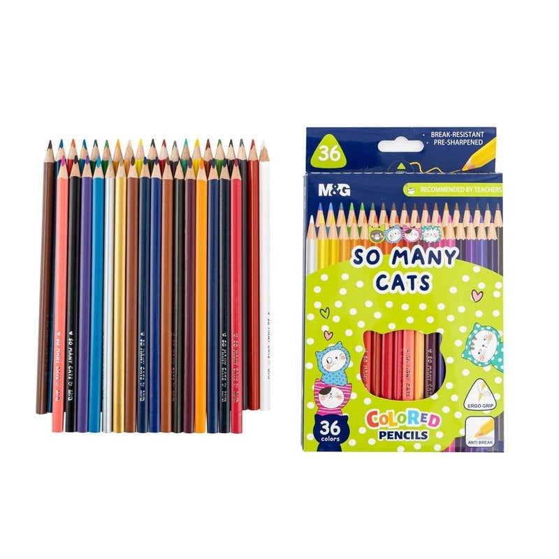 M&G SMC Triangle Color Pencil  36 Colors