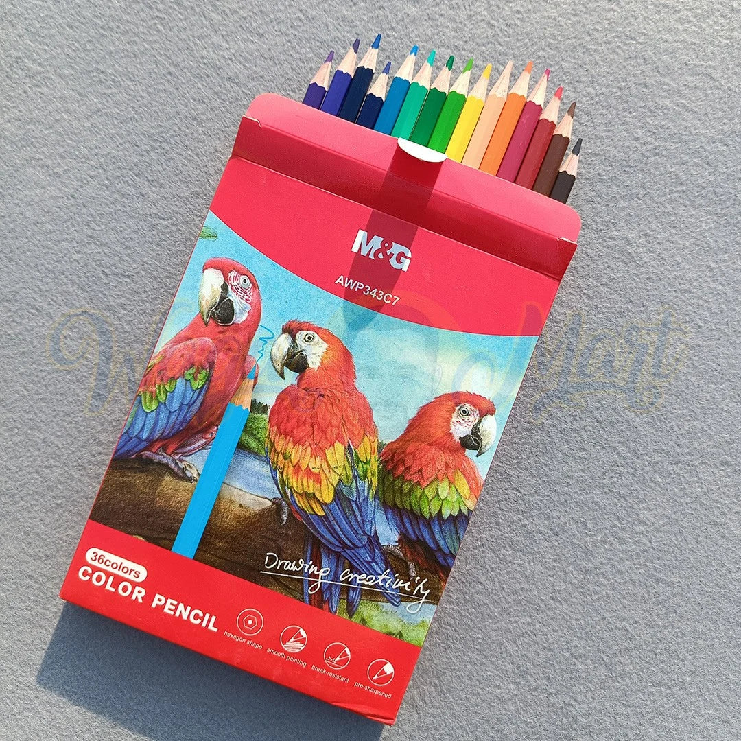 M&G color pencil 36 colors 343C7