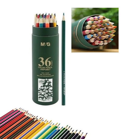 M&G Color Pencil Oil-Based 36 Colors